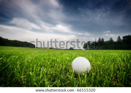 Golf ball on the field. Green grass, cloudy sky.