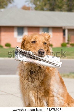 Dog Fetching the News Paper