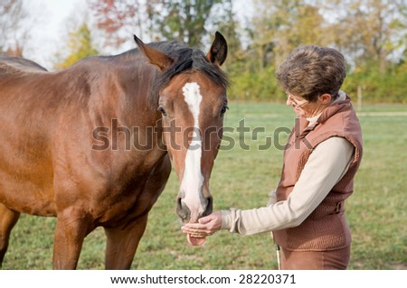 Trainer Feeding Horse