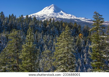 Mt. Hood, Oregon