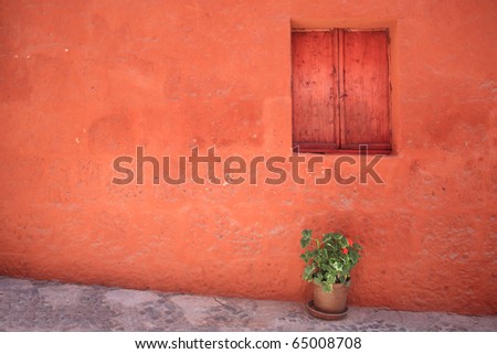 Decorative vintage window with colorful plants in pots.