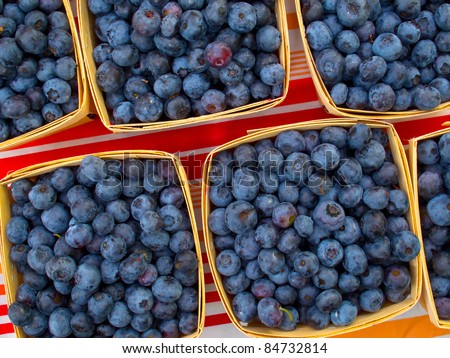 Fresh organic blue berries for sale at market.