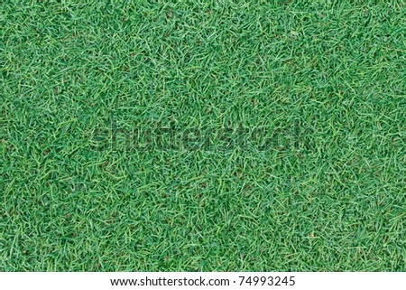 Fake Grass Material