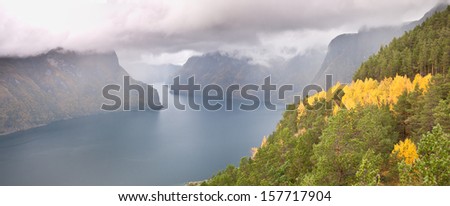 Inner norwegian fjord at a rainy day at autumn with trees transforming color in the foreground and with the fjord outlet in the background with dark clouds ahead