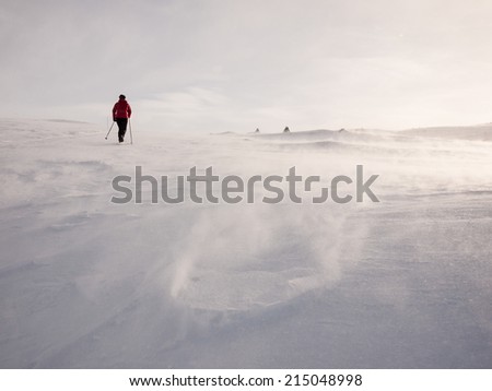 Female skiing in the Norwegian Mountains at easter at a windy day With snow drifting away in foreground and sun rays passing through dim in background