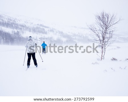 Skiers in the Norwegian Mountains at easter during strong Wind passing a small tree downhill in a sleep terrain