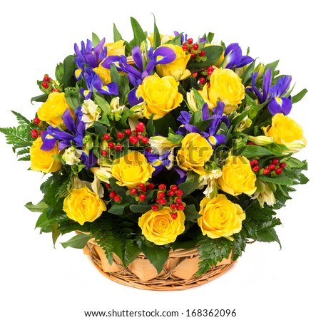 Natural yellow roses and blue irises in a basket isolated on white background