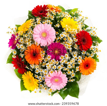 Bouquet of colorful gerberas and daisies isolated on white background