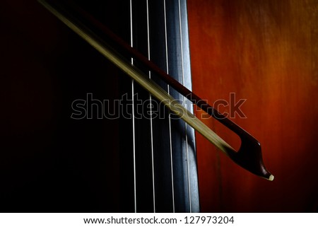 Color detail of a vintage double bass