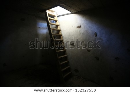 An old ladder in an underground room