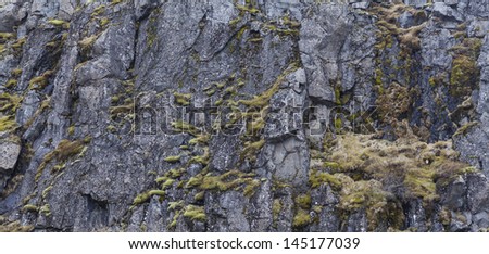 Granite cliff wall with moss