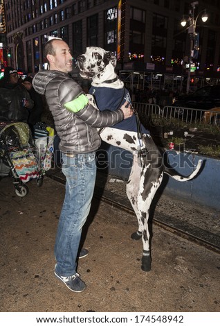 NEW YORK, NY - February 01, 2014: Unidentified Seattle Seahawks football team fan and dog wearing Russel Wilson jersey visit New York Times Square Boulevard