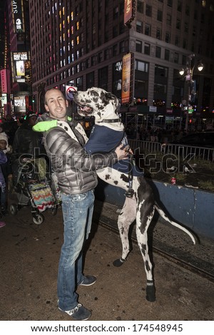NEW YORK, NY - February 01, 2014: Unidentified Seattle Seahawks football team fan and dog wearing Russel Wilson jersey visit New York Times Square Boulevard