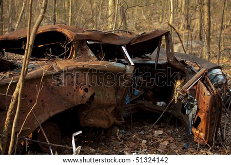abandoned car in the forest