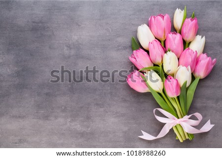 Pink tulip and ribbon, pink eeg. Easter day background.