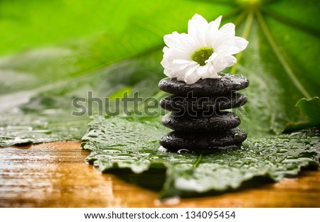 Spa stones on green leaves, flower, tropical spa harmony.