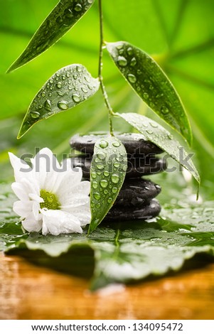 Spa stones on green leaves, flower, tropical spa harmony.