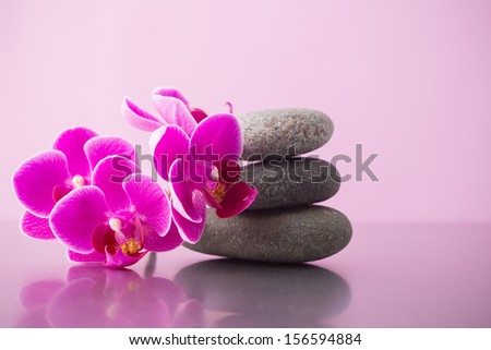 Spa stones pink orchid and pink background.