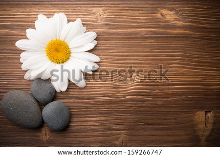Balanced spa stones with camomile flower and wooden  background.