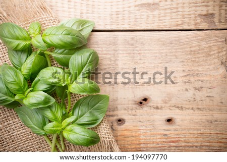 Bunch fresh basil on a wooden background. Aromatic spice.