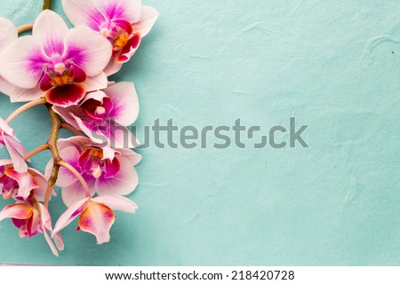 Orchids bloom. White with pink color. Spa card.