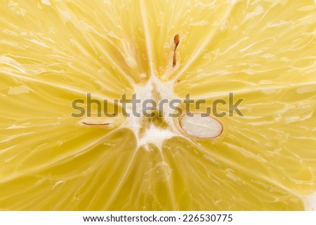 Section of lemon. Lemon background.