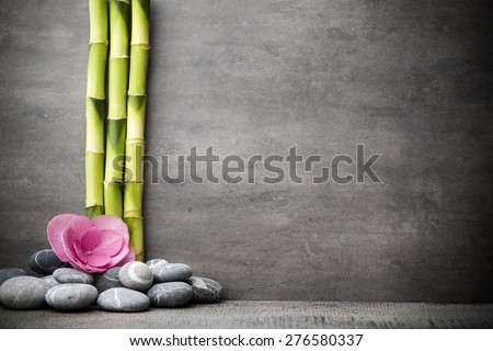 Stones spa treatment scene, zen like concepts.