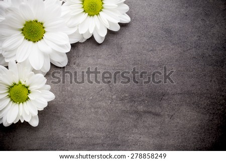 White flowers on the spa background.