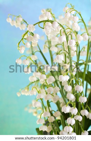 Lily of the Valley with rain drops on a blue background.