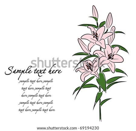 Lilies Vector