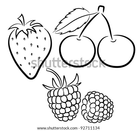 A Set Of Different Berries On A White Background. Stock Vector