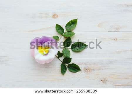 Flower soap