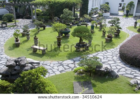 A wide chinese style garden with bonsai.