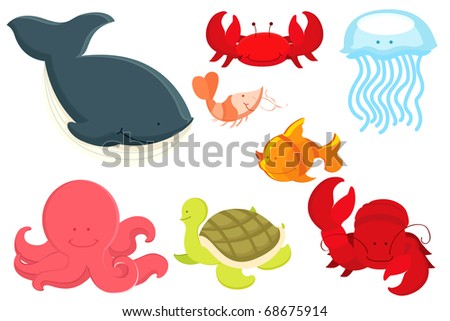 ocean animals cartoon. of marine animals cartoon