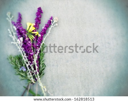 Desktop background flowers.