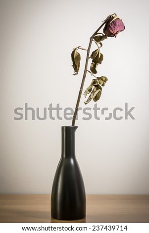 Single dried rose flower with dried leafs