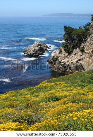 California Coast - Carmel (Point Lobos State Nature Reserve)