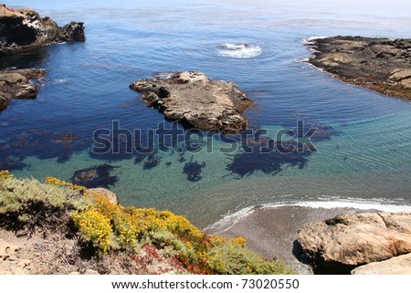 Point Lobos State Nature Reserve - California
