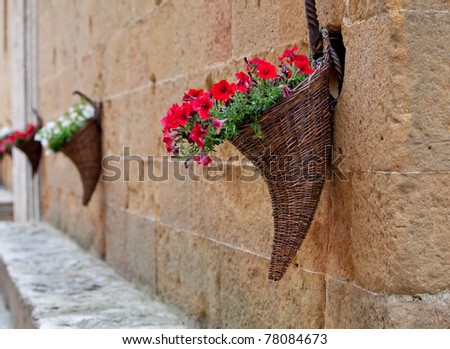 Hanging Baskets - Pienza, Italy
