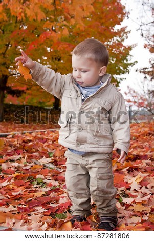 Baby boy playing with leaves in the park