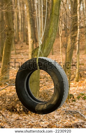 Early morning golden light strikes a tire swing near a rural country home.  Frost from a cold night before still lies on the treads.