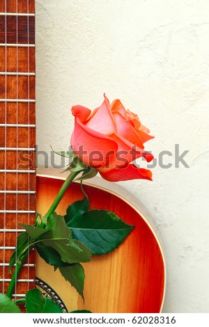 red rose wall