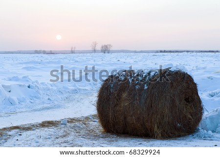 Western Siberia. The prepared hay in the summer, deliver in the winter on road through the river Tom'.