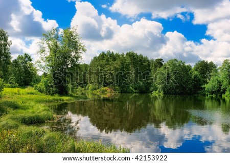 Forest lake, low shores covered with trees
