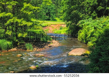 Rapid river with boulders in the thicket bushes