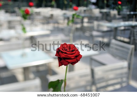Roses on the tables in cafe in Paris. Photo with tilt-shift effect