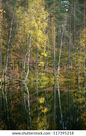 dark pine forest and a lake in Autumn