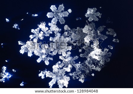 Snowflakes on dark blue background