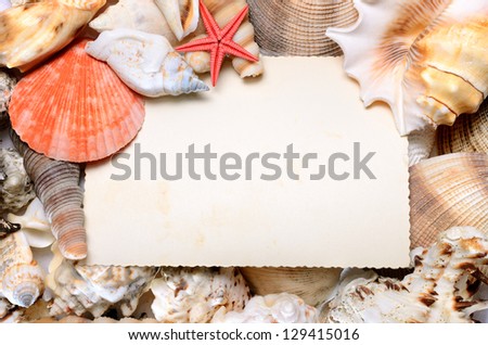 postcard in sea shells frame