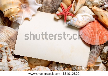 postcard in sea shells frame